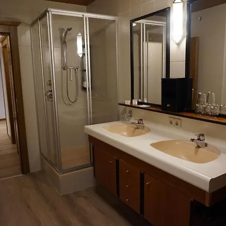 Ferienwohnung Untermetzger Aparthotel Zell am Ziller